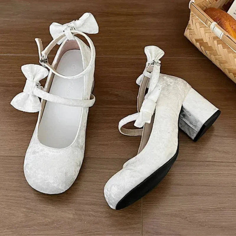 Hnewly High heeled Mary Jane shoes Women New French Velvet Thick Heel Pumps Female Square Heel Single Shoes White Party Sandals