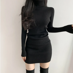 Hnewly trashy outfits Women Autumn Winter Turtleneck Warm Bodycon Dress Long Sleeve Knit Solid Office Pullover Sexy Mini Dress for Ladies