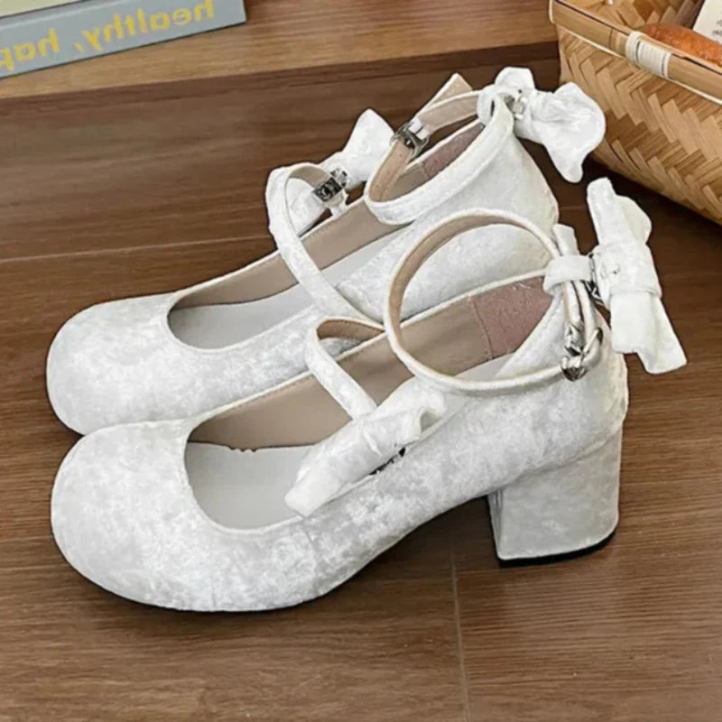 Hnewly High heeled Mary Jane shoes Women New French Velvet Thick Heel Pumps Female Square Heel Single Shoes White Party Sandals