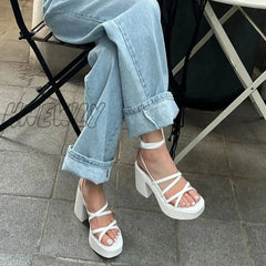 Hnewly Summer New Thick Heel Sandals With Waterproof Platform Open Toe Cross Strap Women’s