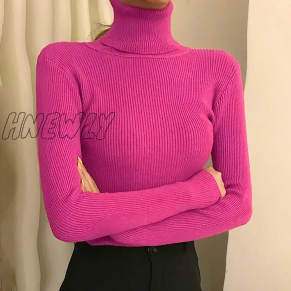 Hnewly Winter Turtleneck Sweater Women Elegant Lined Warm Knitted Pullover Slim Long Sleeve Tops